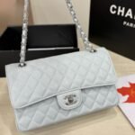 Chanel Classic Double Flap Bag Silver Hardware Baby Blue 25cm - Image 2