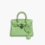 Hermès Birkin B25 Togo Grenat Green 20cm