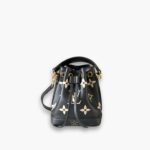 Louis Vuitton Nano Noé 16cm Black